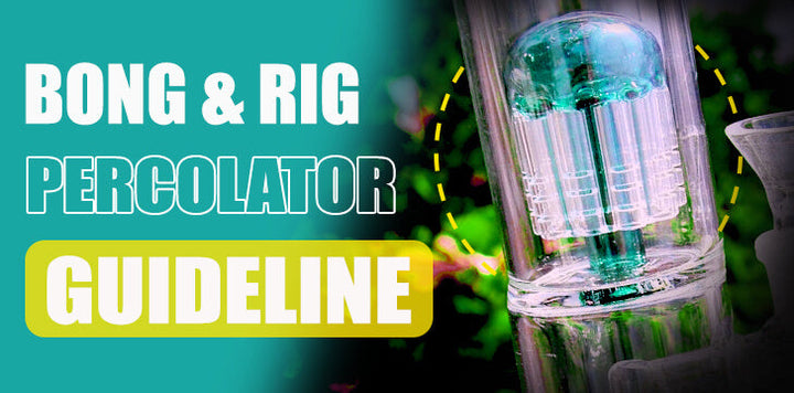 What Is A Percolator Bong And Rig? A Complete Guideline