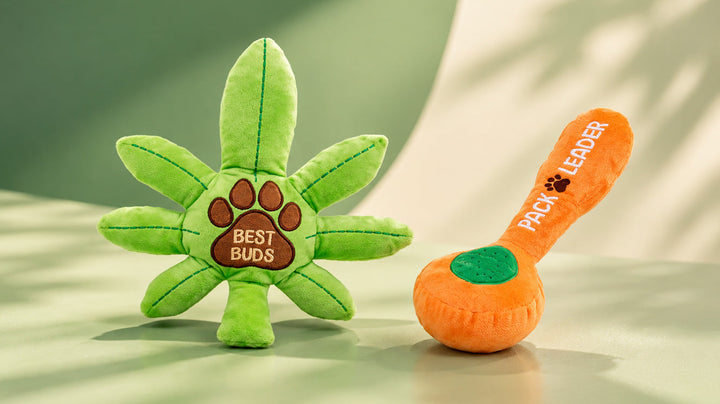 Dog Toys