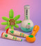 Dog Toys