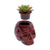 Red ceramic skull planter stash jar shown open with removable faux succulent top