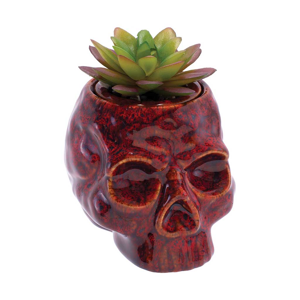 Red skull planter stash jar with green succulent placed inside, glossy ceramic finish