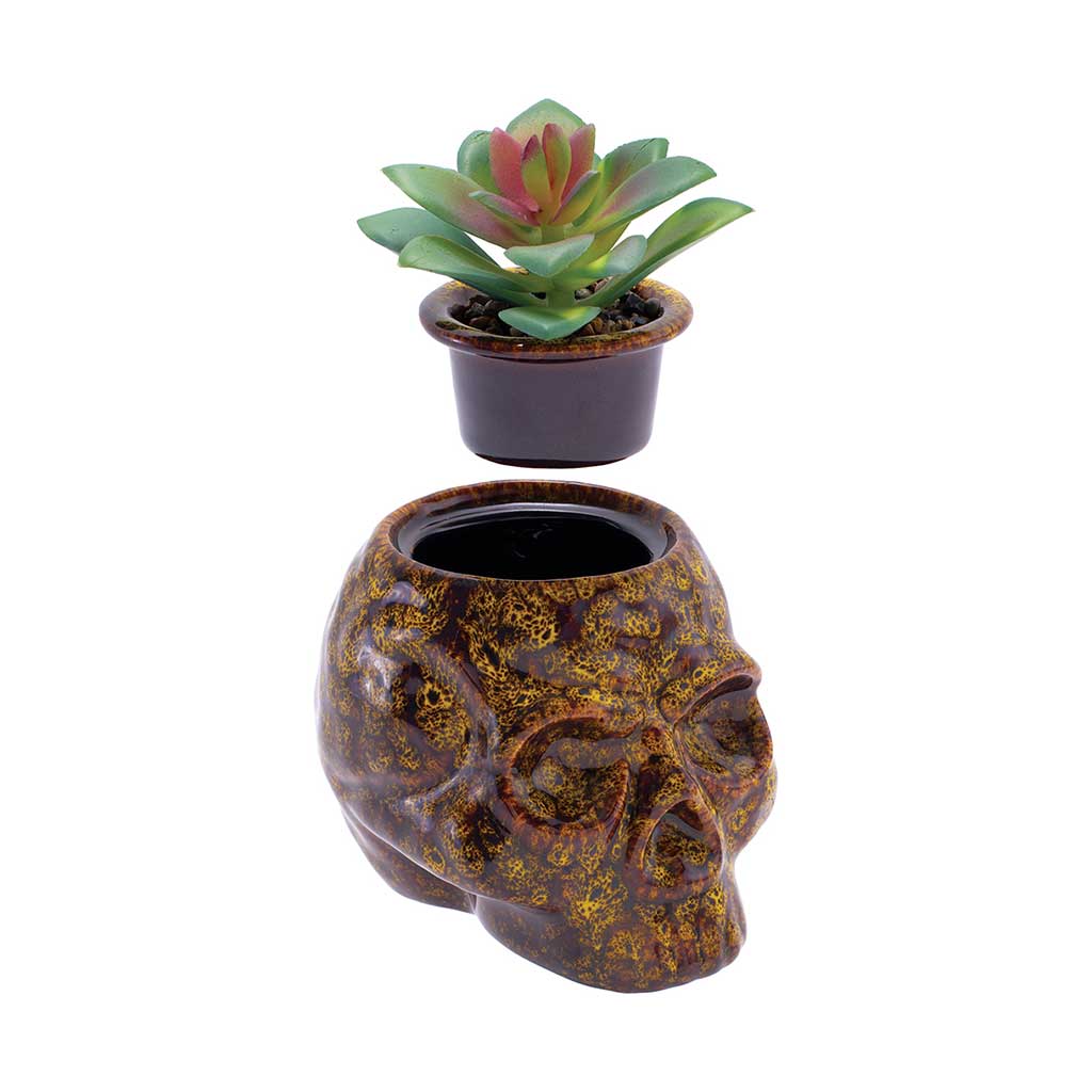 Yellow ceramic skull planter stash jar shown open with removable faux succulent insert.