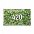 Top view of medium green 420 glass rolling tray featuring leaf pattern and large 420 graphic; smooth, easy-clean