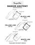 Quartz Banger Joint Anatomy