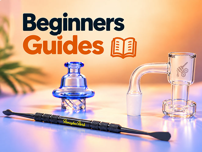 Beginners Guides