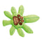 Angled View Of Best Buds Squeaky Dog Toy Featuring Green Plush Leaf And Embroidered Paw Print 