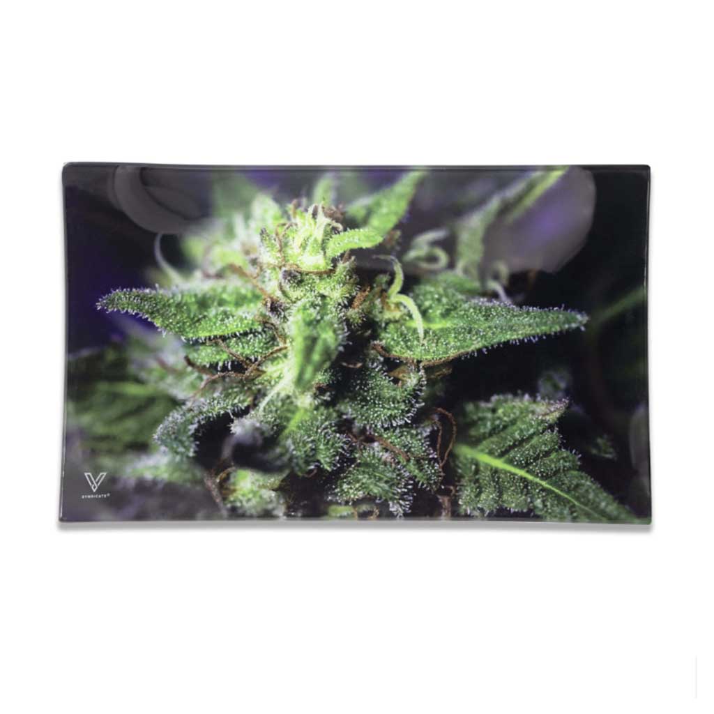 blue dream glass rolling tray — shatter-resistant, easy to clean — buy now at honeybee herb