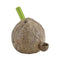 Coconut hand pipe with brown textured coconut body, green leaf stem mouthpiece, side bowl, carb hole, and tropical ceramic design