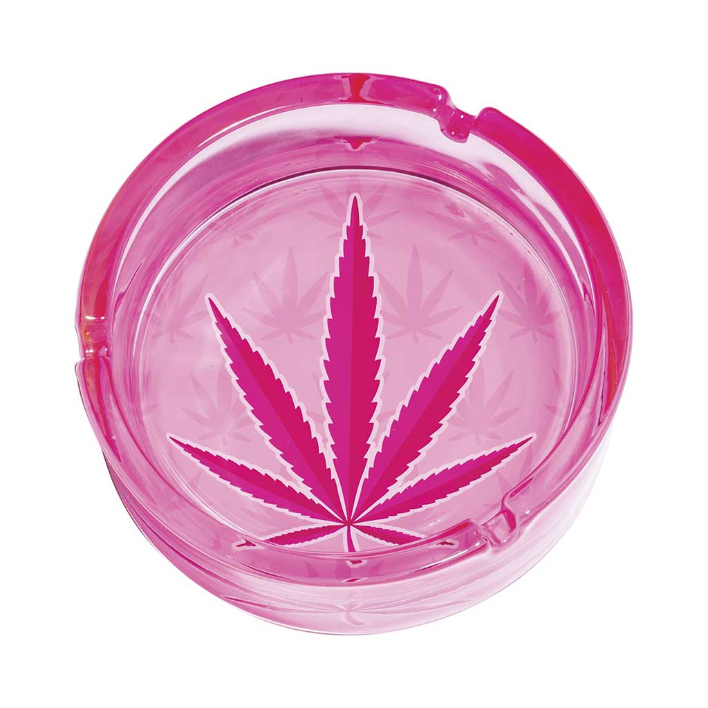 Pink Kush Leaf Glass Ashtray for smokers, durable glass cannabis ashtray for sale online at Honeybee Herb.
