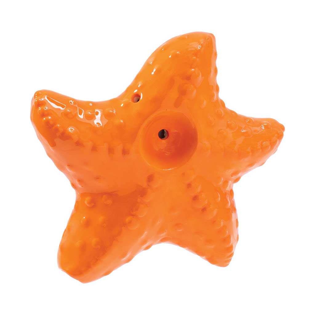 Starfish ceramic hand pipe in retail packaging—purchase from Honeybee Herb with secure checkout and fast, discreet shipping.
