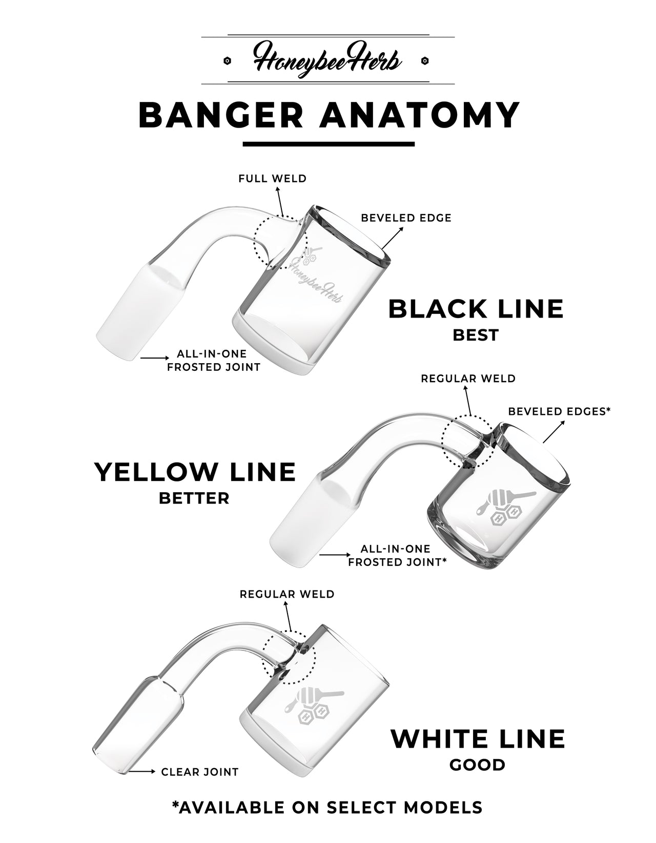 Quartz Banger Joint Anatomy